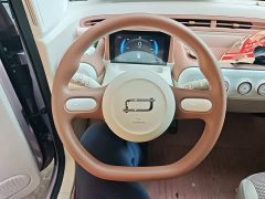 FAW Besturn Xiaoma 222km Cute Horse Plus - ფოტო 6