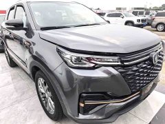 Changan CS55 PLUS Blue Whale Edition 1.5T DCT Prestige Edition - ფოტო 3