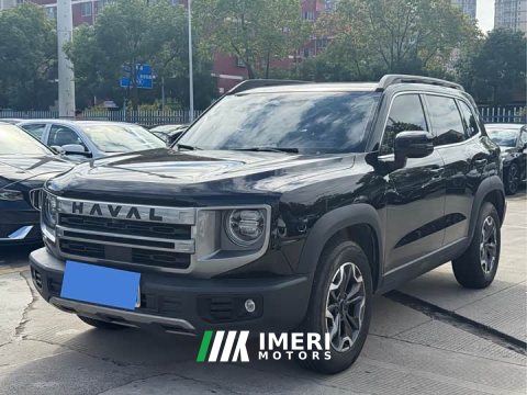 2025 Great Wall Dachshund 2.0T DCT Chinese Rural Dog Edition - ავტომობილი ჩინეთიდან