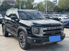 Great Wall Dachshund 2.0T DCT Chinese Rural Dog Edition - ფოტო 3