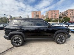 Great Wall Dachshund 2.0T DCT Chinese Rural Dog Edition - ფოტო 9