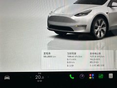 Tesla Model Y Rear-Wheel Drive - ფოტო 17