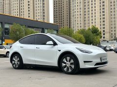 Tesla Model Y Rear-Wheel Drive - ფოტო 3