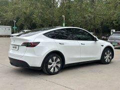 Tesla Model Y Rear-Wheel Drive - ფოტო 6