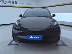 Tesla Model Y Rear-Wheel Drive - ფოტო 2