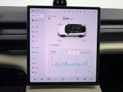 NIO ES6 75kWh - ფოტო 12