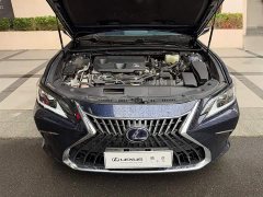 Lexus ES 300h Excellence - ფოტო 6