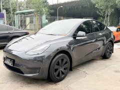 Tesla Model Y Rear-Wheel Drive - ფოტო 1