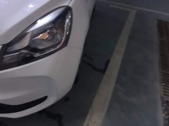 Changan Benben E-Star National Edition Joyful Version (Fast Charging) LFP (31.95kWh) - ფოტო 5