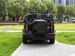 Jetour Jietu Traveler 2.0T AWD Traverse PRO - ფოტო 11