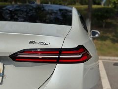 BMW 5 Series 530Li Luxury M Sport Package - ფოტო 16