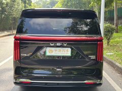 Great Wall WEY Shanshan New Energy Four-Wheel Drive Shanshan 8 - ფოტო 4