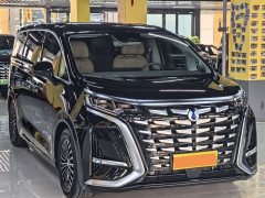 Denza D9 DM-i 970 AWD Flagship - ფოტო 3