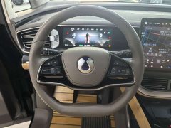 Denza D9 DM-i 970 AWD Flagship - ფოტო 7