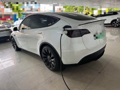 Tesla Model Y Performance All-Wheel Drive - ფოტო 12