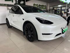 Tesla Model Y Performance All-Wheel Drive - ფოტო 3