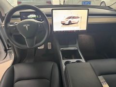 Tesla Model Y Performance All-Wheel Drive - ფოტო 9