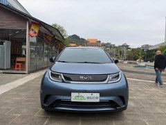 BYD Dolphin 420km Fashion Edition - ფოტო 1