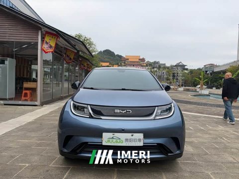 2024 BYD Dolphin 420km Fashion Edition - ავტომობილი ჩინეთიდან