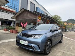 BYD Dolphin 420km Fashion Edition - ფოტო 2