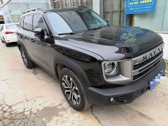 Great Wall Dachshund 1.5T DCT Border Collie Edition - ფოტო 1