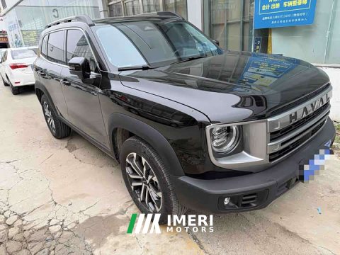 2024 Great Wall Dachshund 1.5T DCT Border Collie Edition - ავტომობილი ჩინეთიდან