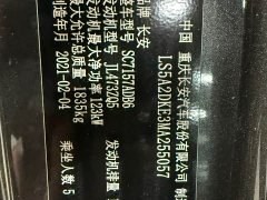 Changan Raize CC Blue Whale 1.5T DCT Luxury - ფოტო 18