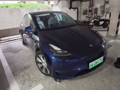 Tesla Model Y Long Range All-Wheel Drive - ფოტო 3