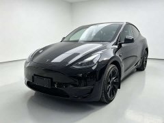 Tesla Model Y Long Range All-Wheel Drive - ფოტო 1