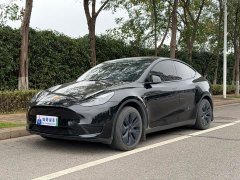 Tesla Model Y Rear-Wheel Drive - ფოტო 1