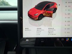 Tesla Model Y Rear-Wheel Drive - ფოტო 11