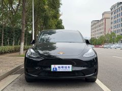 Tesla Model Y Rear-Wheel Drive - ფოტო 2