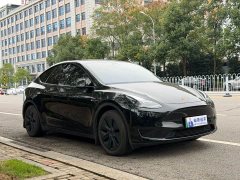 Tesla Model Y Rear-Wheel Drive - ფოტო 3