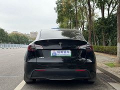 Tesla Model Y Rear-Wheel Drive - ფოტო 6