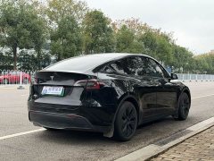 Tesla Model Y Rear-Wheel Drive - ფოტო 7