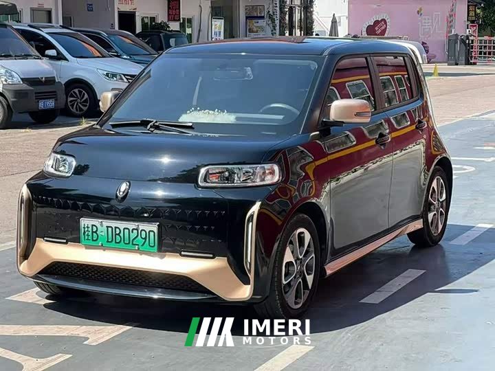ORA White Cat Little Wildcat 360km Luxury Ternary Lithium