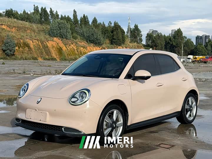 ORA Good Cat 400km Standard Range Athena Edition Ternary Lithium - ავტომობილი ჩინეთიდან