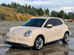 ORA Good Cat 400km Standard Range Athena Edition Ternary Lithium - ფოტო 1