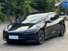 Tesla Model 3 Standard Range RWD Upgrade - ფოტო 1