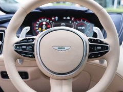 Aston Martin DBX 4.0T V8 Silk Road Edition - ფოტო 12