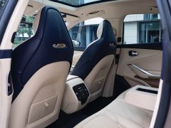 Aston Martin DBX 4.0T V8 Silk Road Edition - ფოტო 15