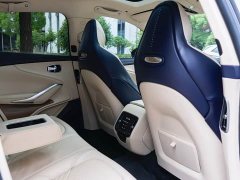 Aston Martin DBX 4.0T V8 Silk Road Edition - ფოტო 16