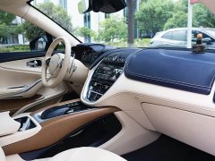 Aston Martin DBX 4.0T V8 Silk Road Edition - ფოტო 17