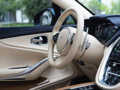 Aston Martin DBX 4.0T V8 Silk Road Edition - ფოტო 18