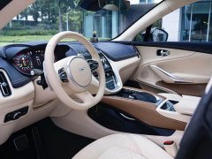 Aston Martin DBX 4.0T V8 Silk Road Edition - ფოტო 7