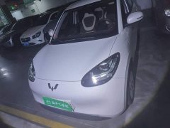Wuling Binguo 203km Light Enjoy Edition - ფოტო 2