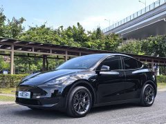 Tesla Model Y Rear-Wheel Drive - ფოტო 1