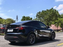 Tesla Model Y Rear-Wheel Drive - ფოტო 10