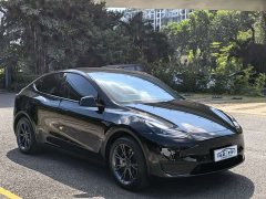 Tesla Model Y Rear-Wheel Drive - ფოტო 3
