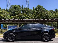 Tesla Model Y Rear-Wheel Drive - ფოტო 4